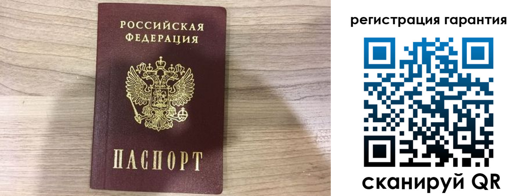 прописка ребенка в Ленинградской области